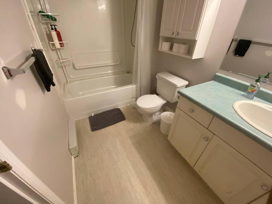 ויקטוריה Artistic Apartment Near Downtown מראה חיצוני תמונה