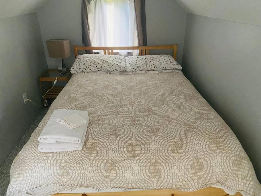 ויקטוריה Artistic Apartment Near Downtown מראה חיצוני תמונה